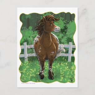 Appaloosa Pony Postcard