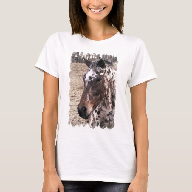 Appaloosa Stallions Long Sleeve Ladies T-Shirt (Front)