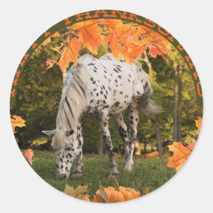 Appaloosa Thanksgiving Classic Round Sticker