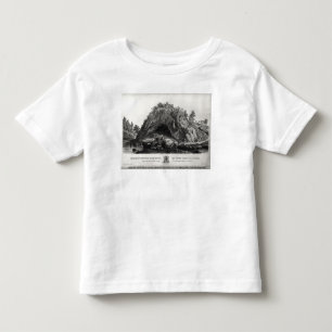 Apparition of the Virgin Mary Toddler T-Shirt