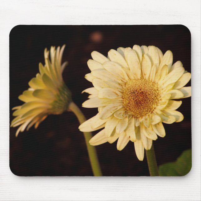 Appearance of Mirror Mouse Mat (Front)