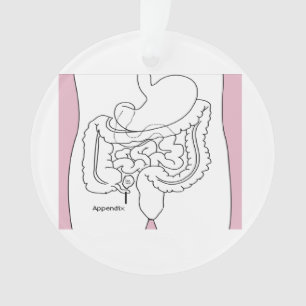 appendix kills you.png ornament