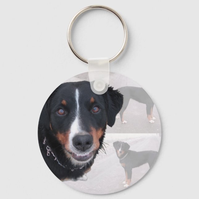 "Appenzeller Sennenhund" Key Ring (Front)