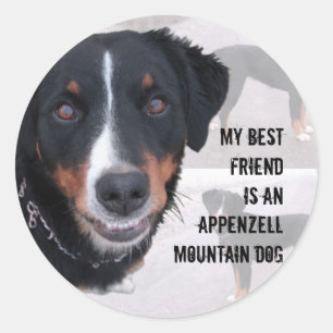 "Appenzeller Sennenhund" sticker