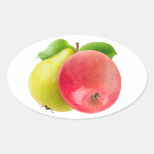 Apple and pear oval sticker