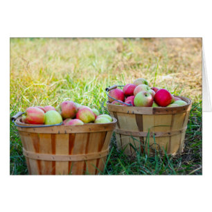 Apple Baskets