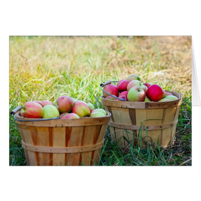Apple Baskets (Front Horizontal)