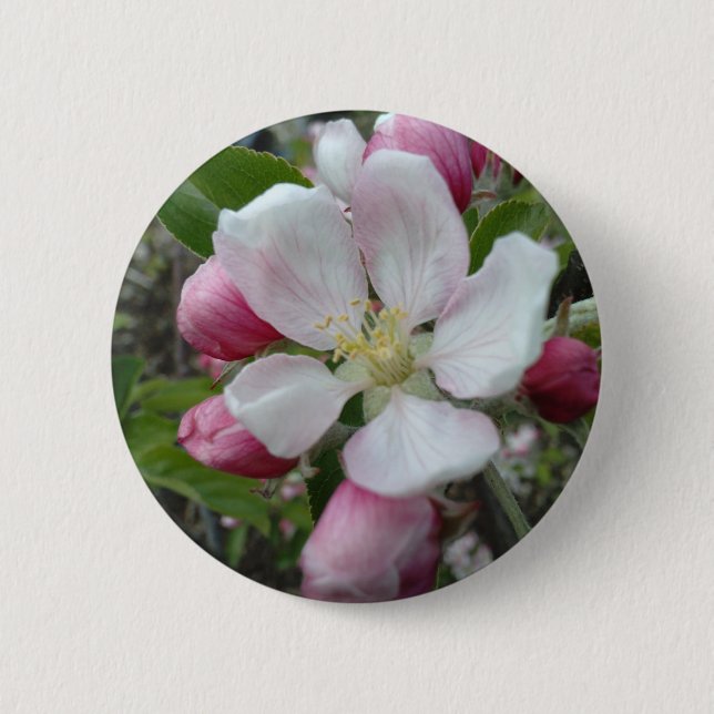 Apple Blossom 6 Cm Round Badge (Front)