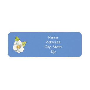 Apple Blossom Address Labels
