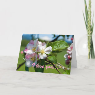 Apple Blossom Anniversary Card