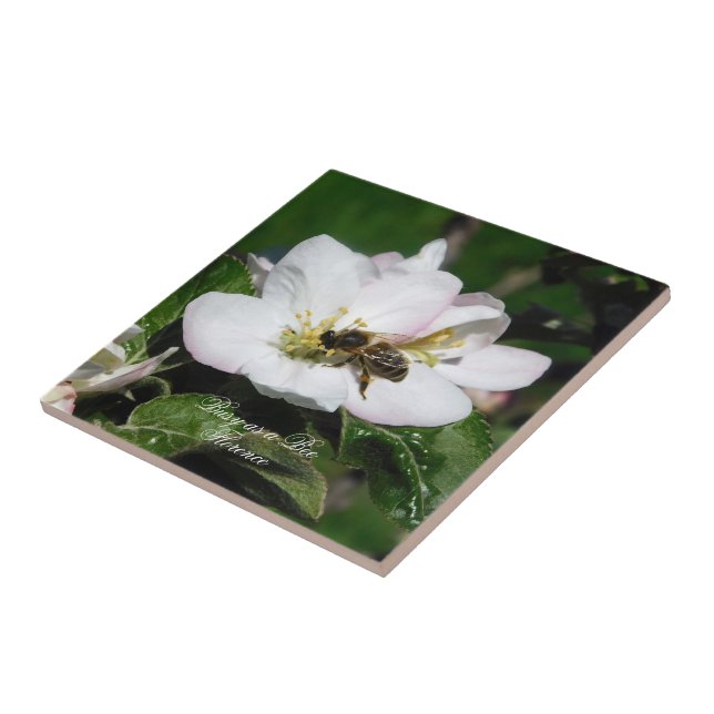 Apple Blossom & Bee Macro Photo | Ceramic Tile (Side)