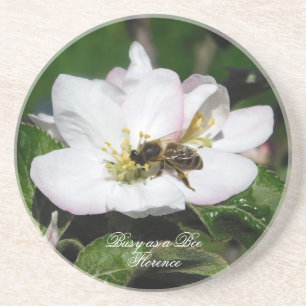 Apple Blossom & Bee Macro Photo   Sandstone Coaste Coaster