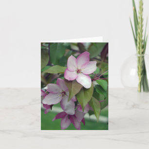 Apple Blossom Birthday Card