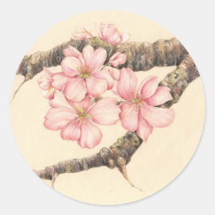 Apple Blossom Branch Classic Round Sticker