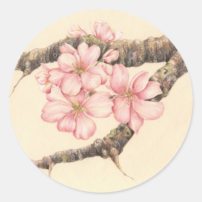 Apple Blossom Branch Classic Round Sticker (Front)