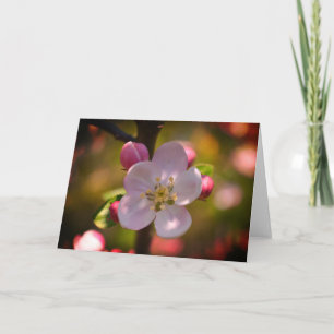 Apple Blossom Card