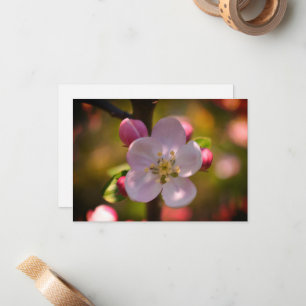 Apple Blossom Card