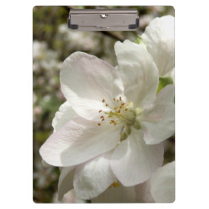 Apple Blossom Clipboard