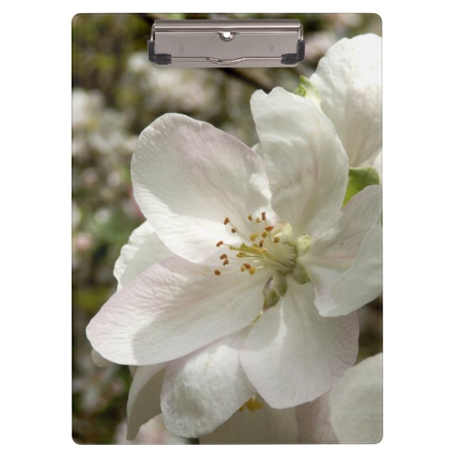 Apple Blossom Clipboard (Front)