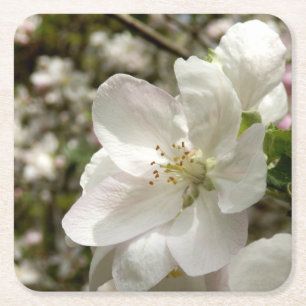 Apple Blossom Coaster