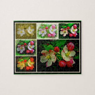 Apple Blossom Collage - Enhanced Digital Photo Jigsaw Puzzle