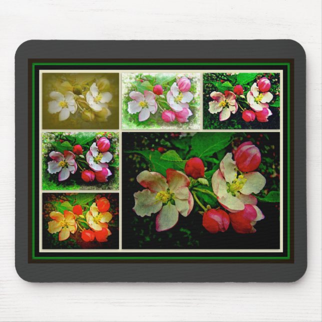 Apple Blossom Collage - Enhanced Digital Photo Mouse Mat (Front)