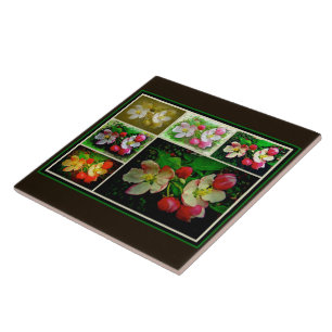 Apple Blossom Collage - Enhanced Digital Photo Tile