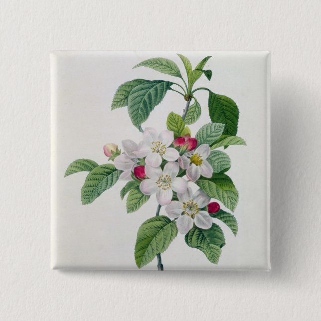 Apple Blossom, from 'Les Choix des Plus Belles 15 Cm Square Badge (Front)