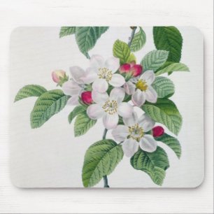 Apple Blossom, from 'Les Choix des Plus Belles Mouse Mat
