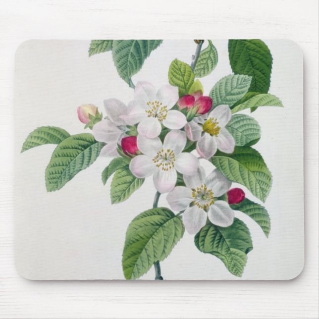 Apple Blossom, from 'Les Choix des Plus Belles Mouse Mat (Front)