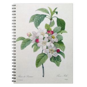 Apple Blossom, from 'Les Choix des Plus Belles Notebook