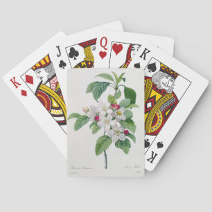 Apple Blossom, from 'Les Choix des Plus Belles Playing Cards