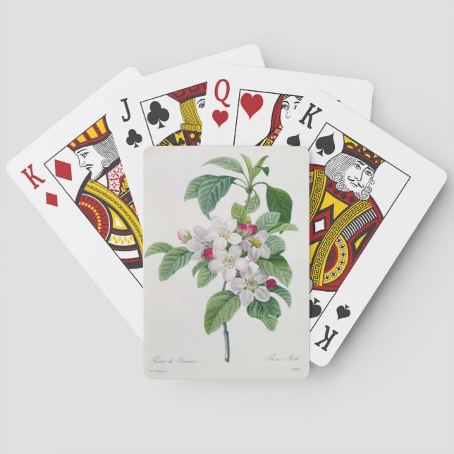 Apple Blossom, from 'Les Choix des Plus Belles Playing Cards (Back)