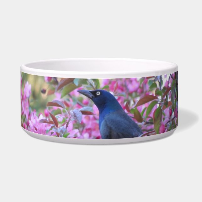 Apple Blossom Grackle (Right)