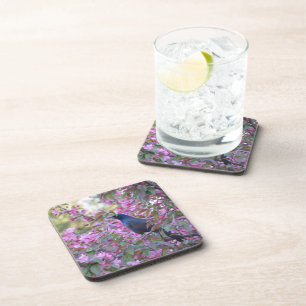 Apple Blossom Grackle Coaster