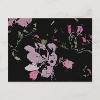 Apple Blossom in Ink Postcard