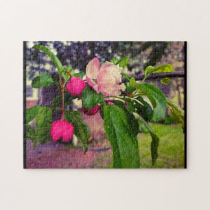APPLE BLOSSOM  JIGSAW PUZZLE