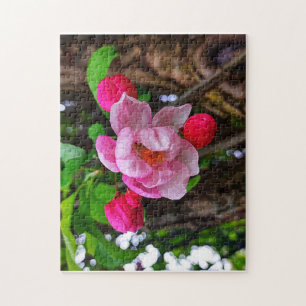 APPLE BLOSSOM  JIGSAW PUZZLE