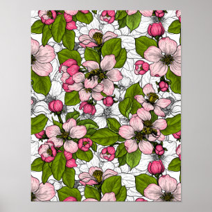 Apple blossom on white poster