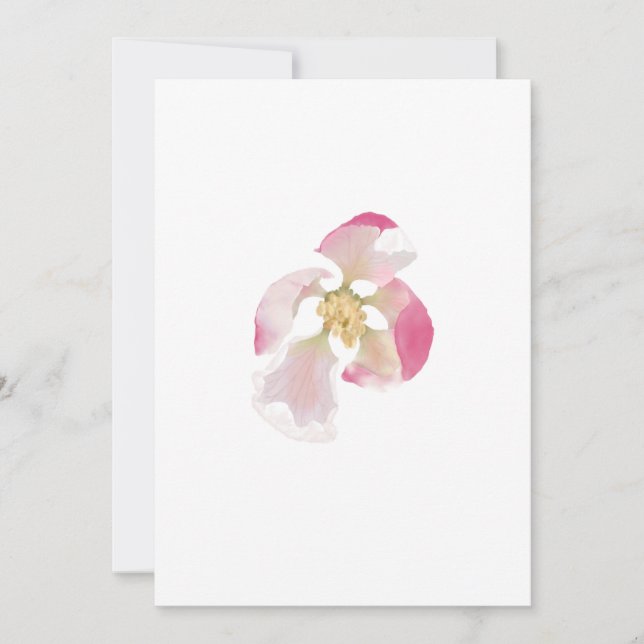 Apple Blossom Opening Holiday Card (Front)