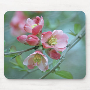Apple Blossom #P0356 Mousepad