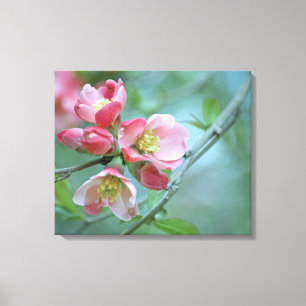 Apple Blossom #P0356 Wrapped Canvas