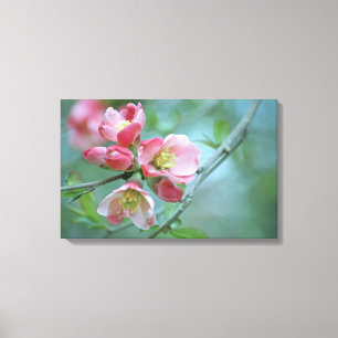 Apple Blossom #P0356 Wrapped Canvas