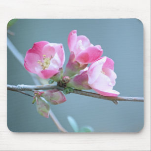 Apple Blossom #P0358 Mousepad