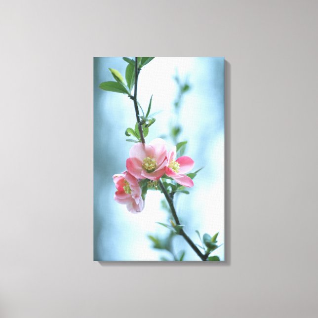 Apple Blossom #P0365 Canvas Print (Front)