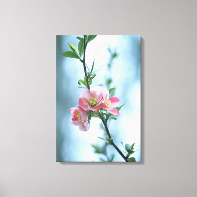 Apple Blossom #P0365 Canvas Print (Front)