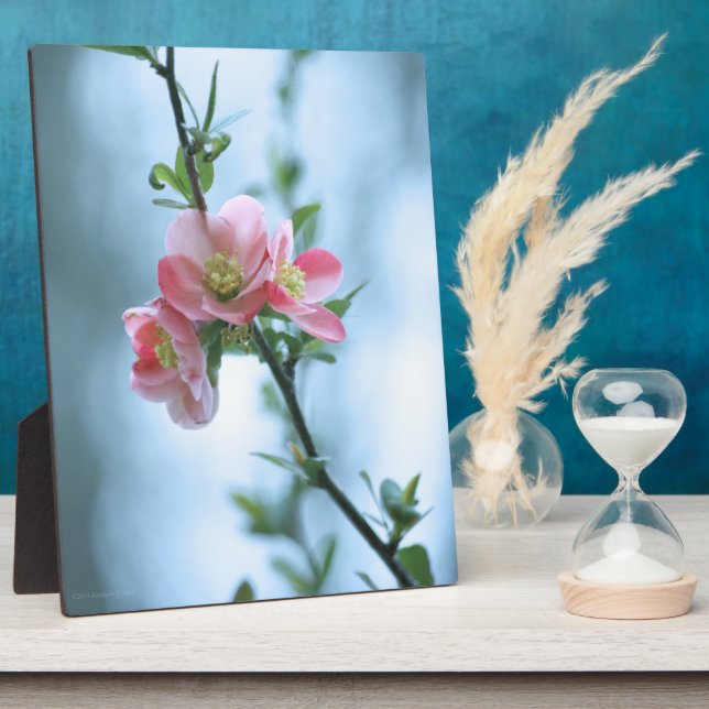 Apple Blossom #P0365 Plaque (Side)