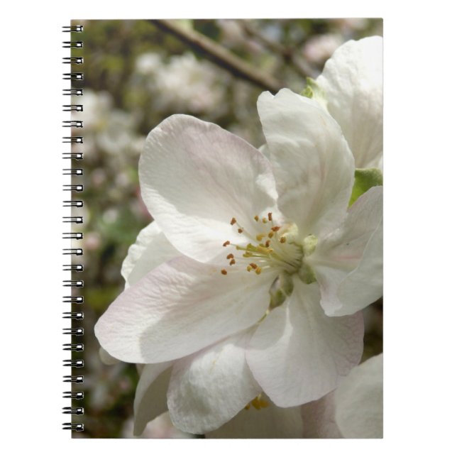 Apple Blossom Photo Notebook (Front)