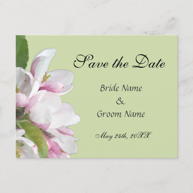 apple blossom save the date postcard (Front)