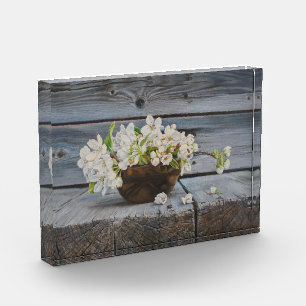 Apple Blossom Still Life – Original Fine Art Print Photo Block